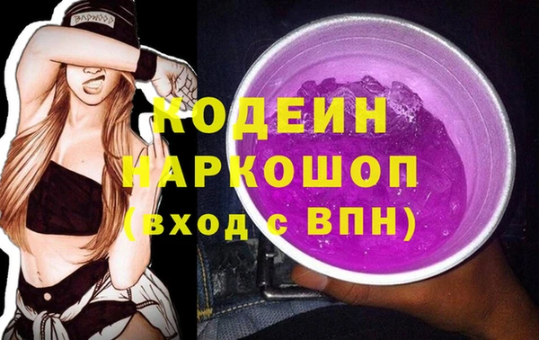 молекула духа Михайлов