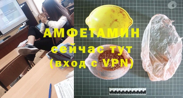 молекула духа Михайлов