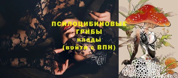 apvp Михайловск
