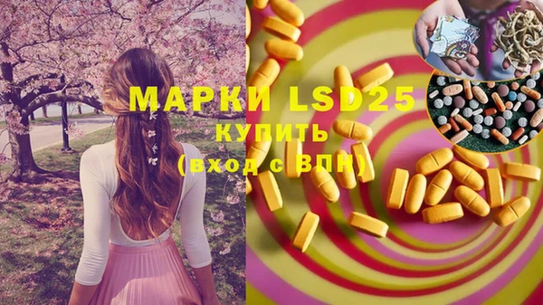 молекула духа Михайлов