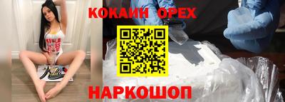 СК Гатчина