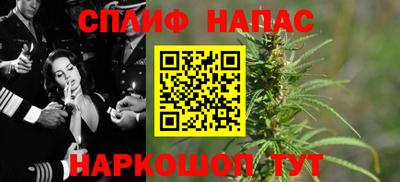 СК Гатчина