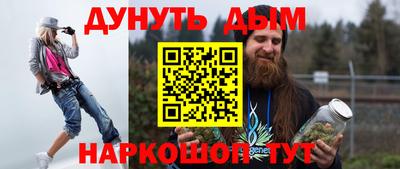 индика Гай