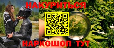 индика Гай