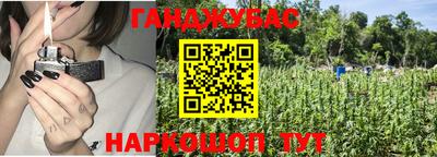 индика Гай