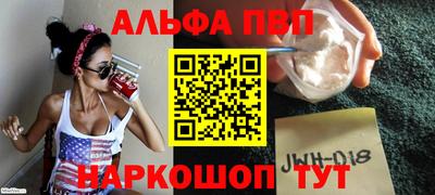 СК Гатчина
