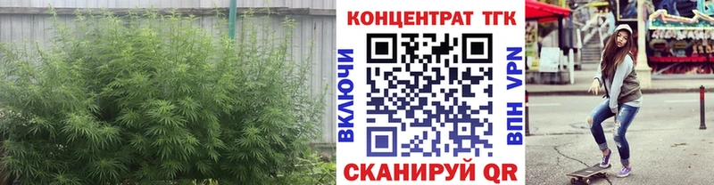 Дистиллят ТГК Wax  Вологда 