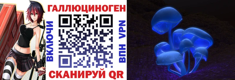 Псилоцибиновые грибы Psilocybe  где купить   Вологда 