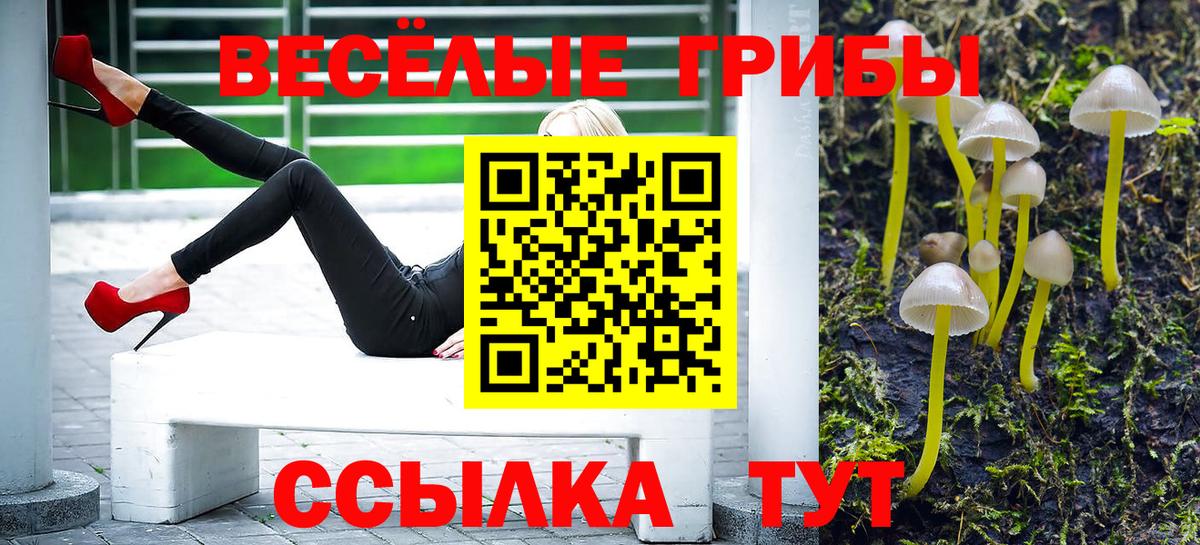 Галлюциногенные грибы MAGIC MUSHROOMS Вологда