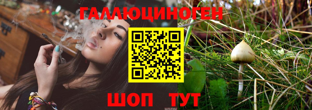 Галлюциногенные грибы Magic Shrooms  цена наркотик  Псилоцибиновые грибы мицелий  Вологда  Вход с VPN 